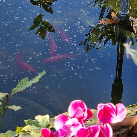 Villa Camilla - Tiny - Exclusive Pool Λούκα Εξωτερικό φωτογραφία